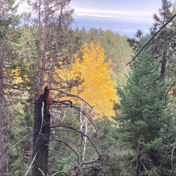 Meet your Posher, Timothy - Picture 1 of 1